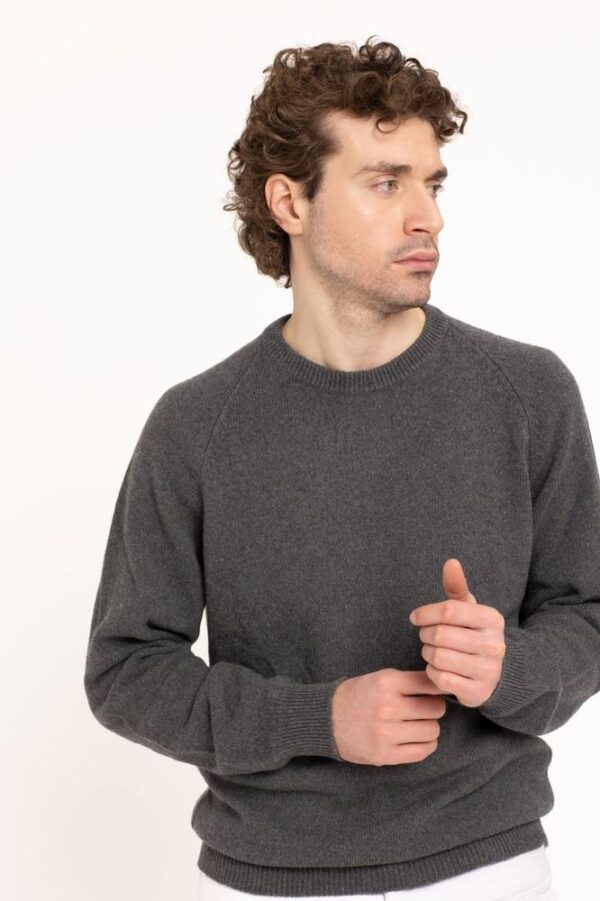CREW NECK WITH RAGLAN SLEEVES, 1X1 RIB - Image 3